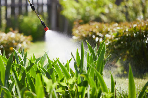 24/7 Emergency Mosquito Control experts in Nettleton, MS